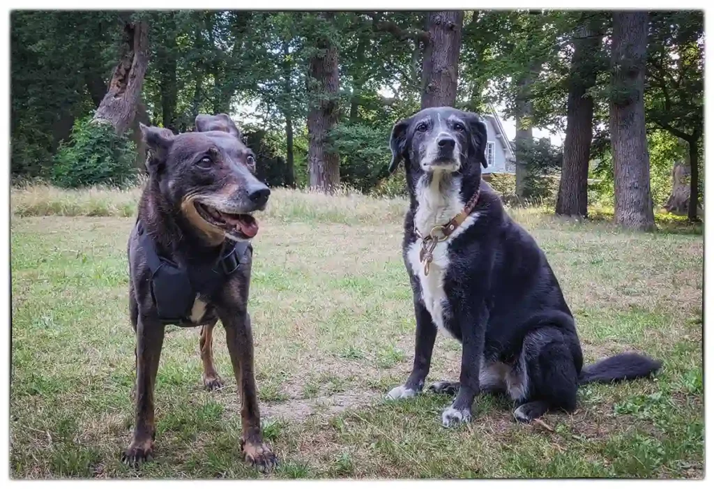 Cindy und Mona sehen sich im Alter ein letztes Mal