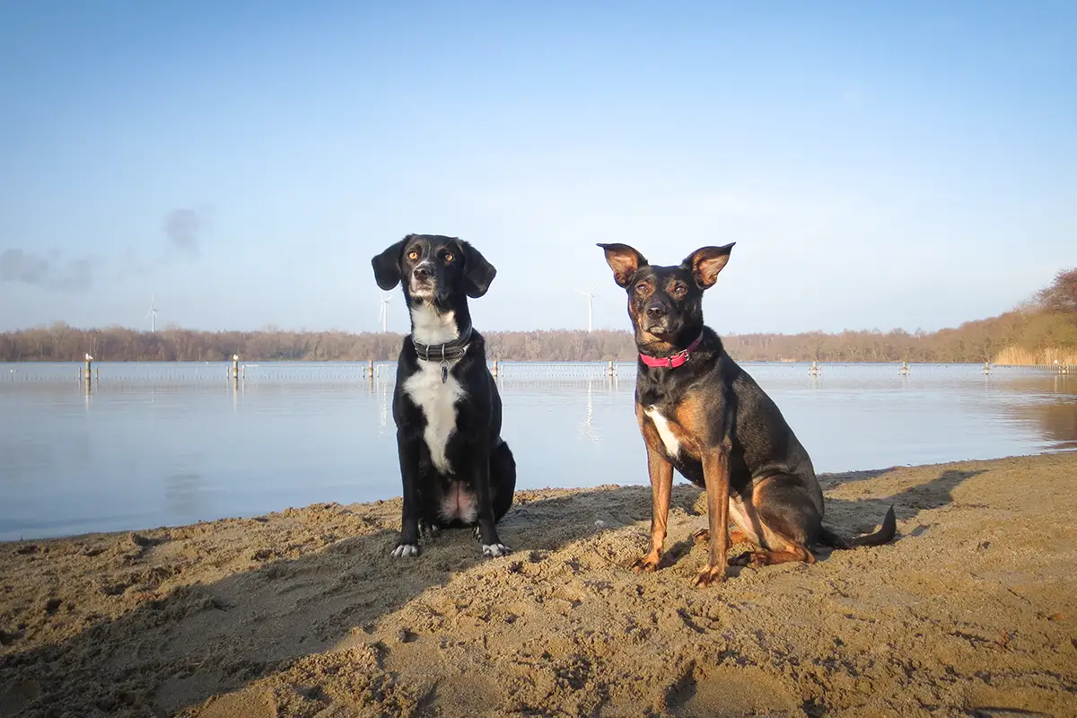 Mona und Cindy sitzen am Uni-See