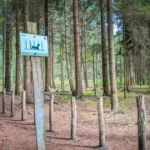 Heidhofer Hunderunde: Station 3, Slalom